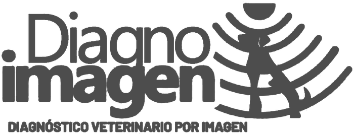 Diagnoimagen