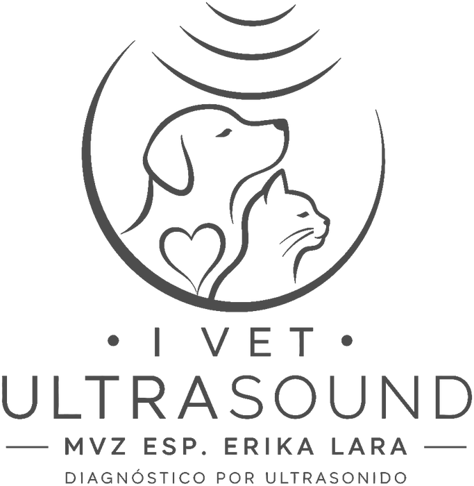 iVet Ultrasound