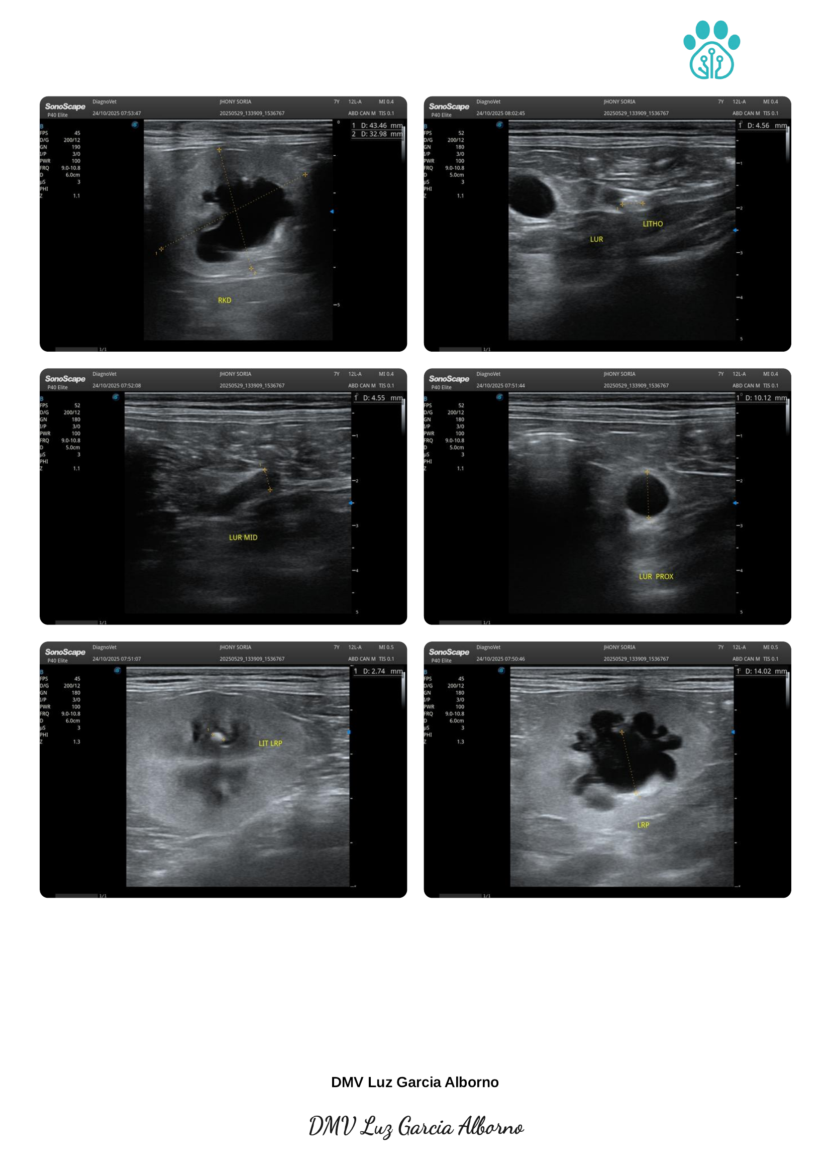 Ultrasound report page 4 of 6
