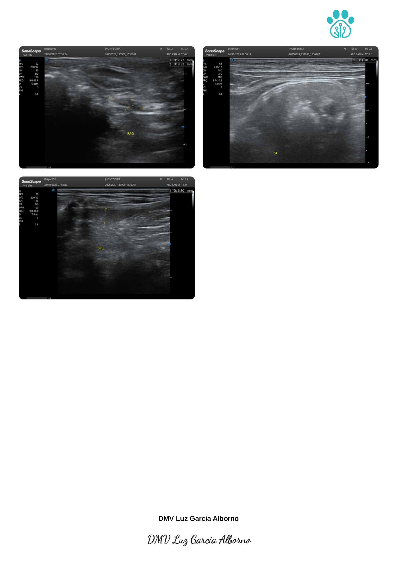 Ultrasound report page 6 of 6